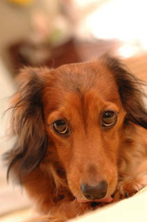 tn_DSC_4823.jpg