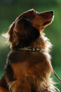 tn_DSC_4580.jpg