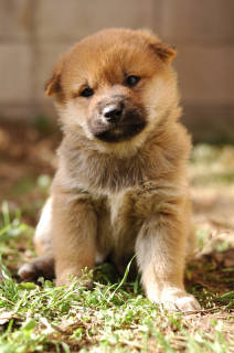 tn_DSC_0797.jpg