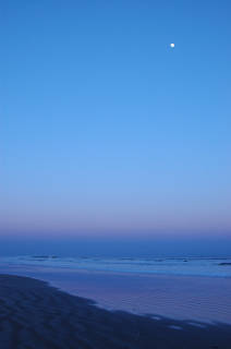 tn_DSC_16177.jpg