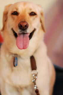 tn_DSC_3021.jpg