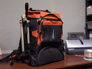 tn_DSC_1113_filtered_800.jpg