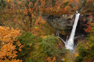 tn_DSC_2336.jpg