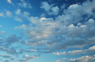 tn_DSC_2755.jpg