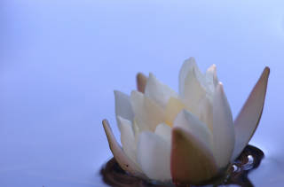 tn_D2H_5443.jpg