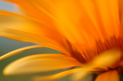 tn_DSC_8434.jpg